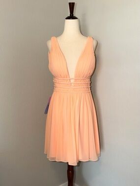 JVN by Jovani Chiffon Pleated Homecoming Cocktail Dress Blush NWT Size 6